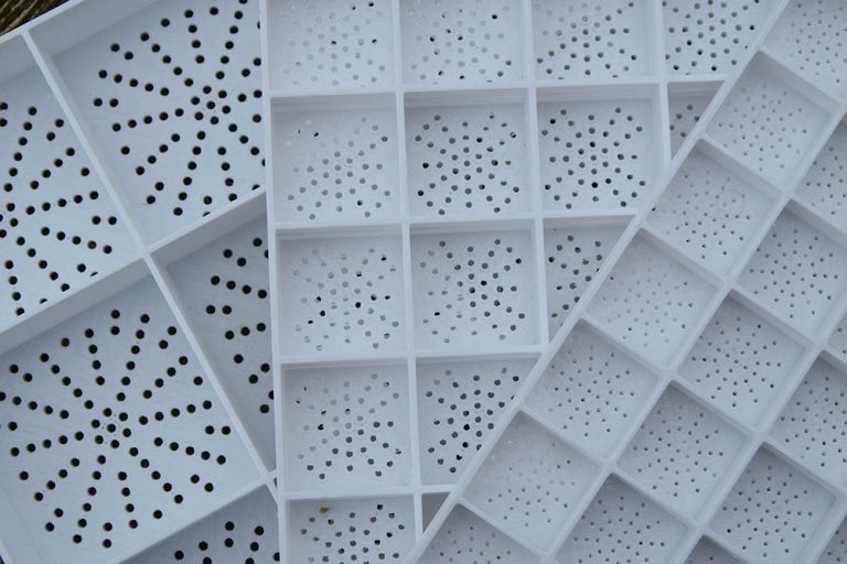 Lobster Cube Hatchery System