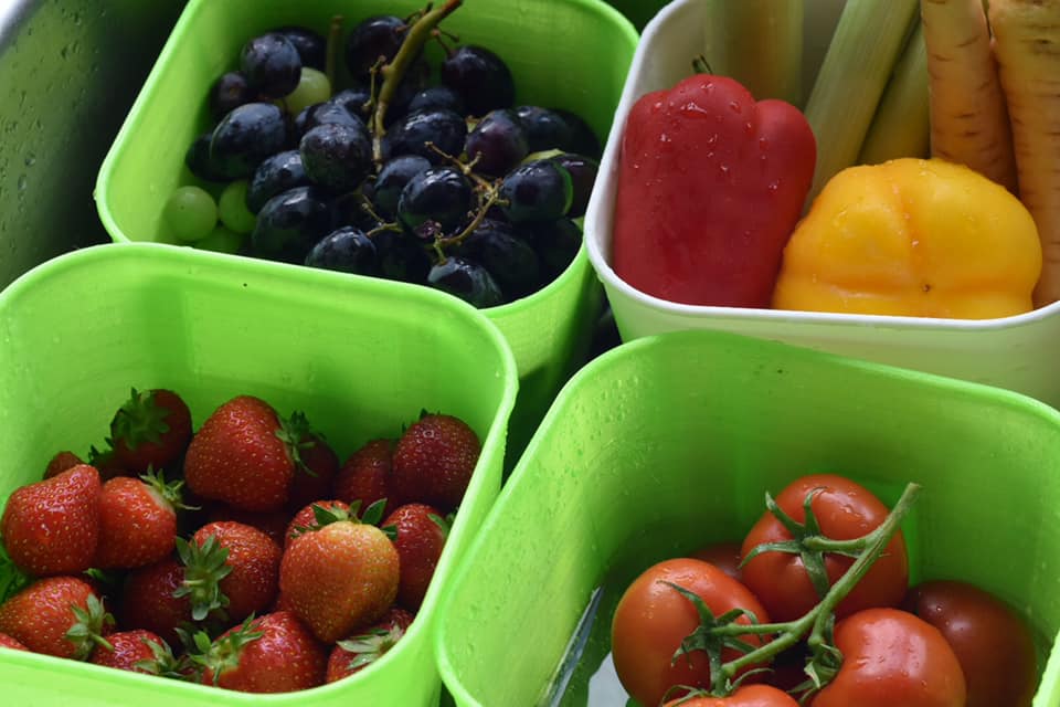 Easy Grow Micogreens